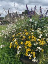 Floral Displays